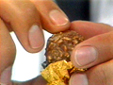  TV - Werbespot Ferrero